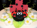 First birthday lady bug cake