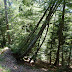 2011.07.10. - M&M na Dovški Babi