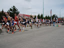 P5080048 (600 x 450).jpg