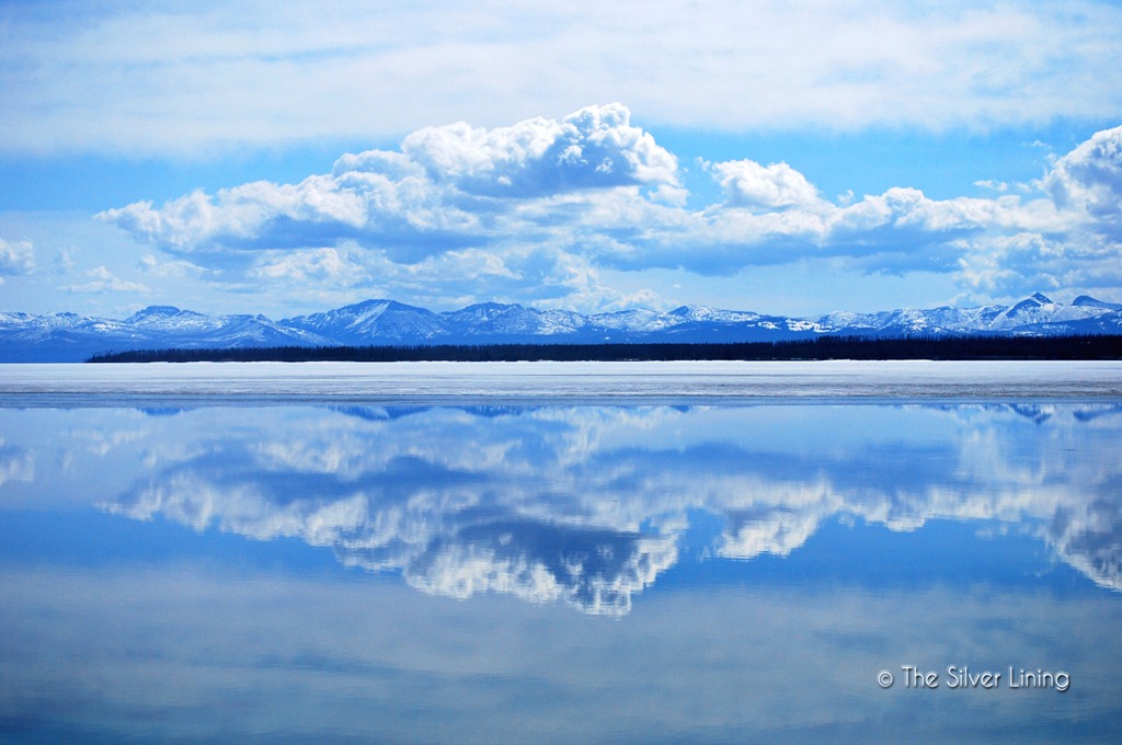 [DSC_0398a%2520copyright%255B8%255D.jpg]