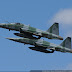 DSC05799.JPG