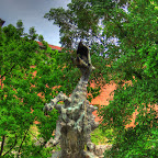 IMG_1372_3_4_tonemapped.jpg