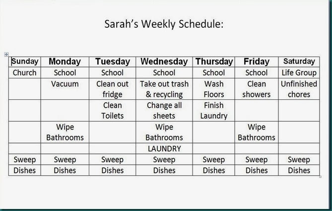 cleaning schedule