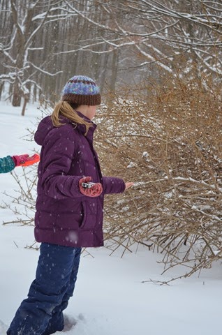 [DSC_0429%255B2%255D.jpg]