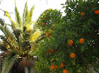 Sprachaufenthalt Granada