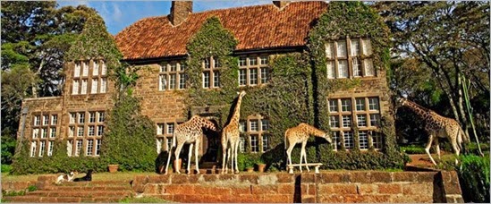 Giraffe-Manor-01