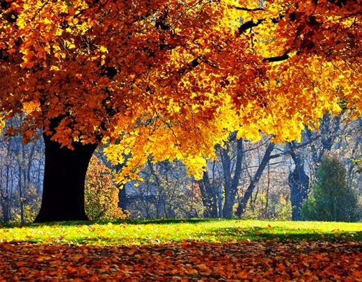 [027%255B6%255D.jpg]