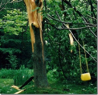 clothesline and swing