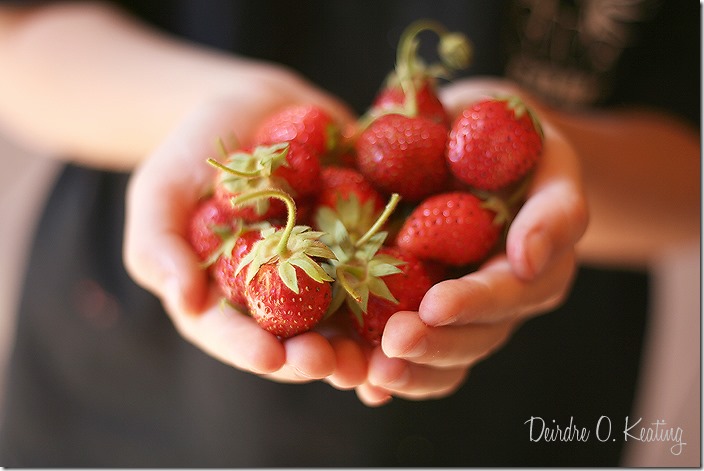 strawberrys SDOF strawberrys SDOF