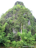 Another Steep Mountain