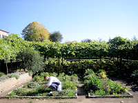 Garden at Coltibuono