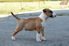 Karmacoma SUPERSTYLIN' 9 weeks