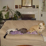 Charlie, Grace and Sam.