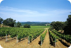 vigna1 vigna1