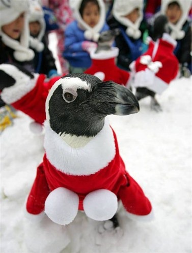 [Cute-Christmas-Creatures-32%255B3%255D.jpg]