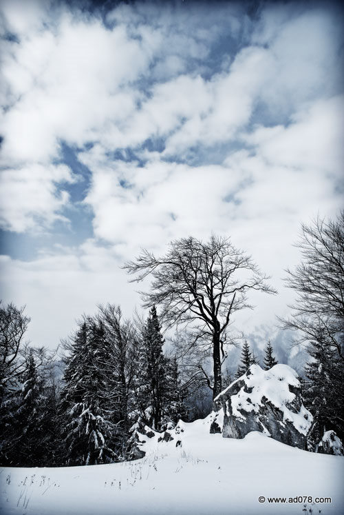 DSC_1926.jpg