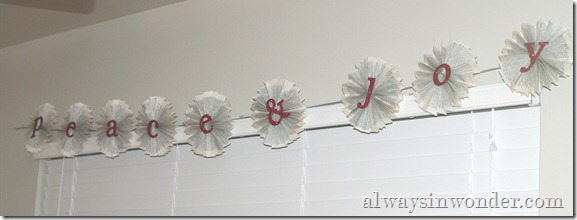 IMG_6737 IMG_6737