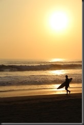 IMG_4488 IMG_4488