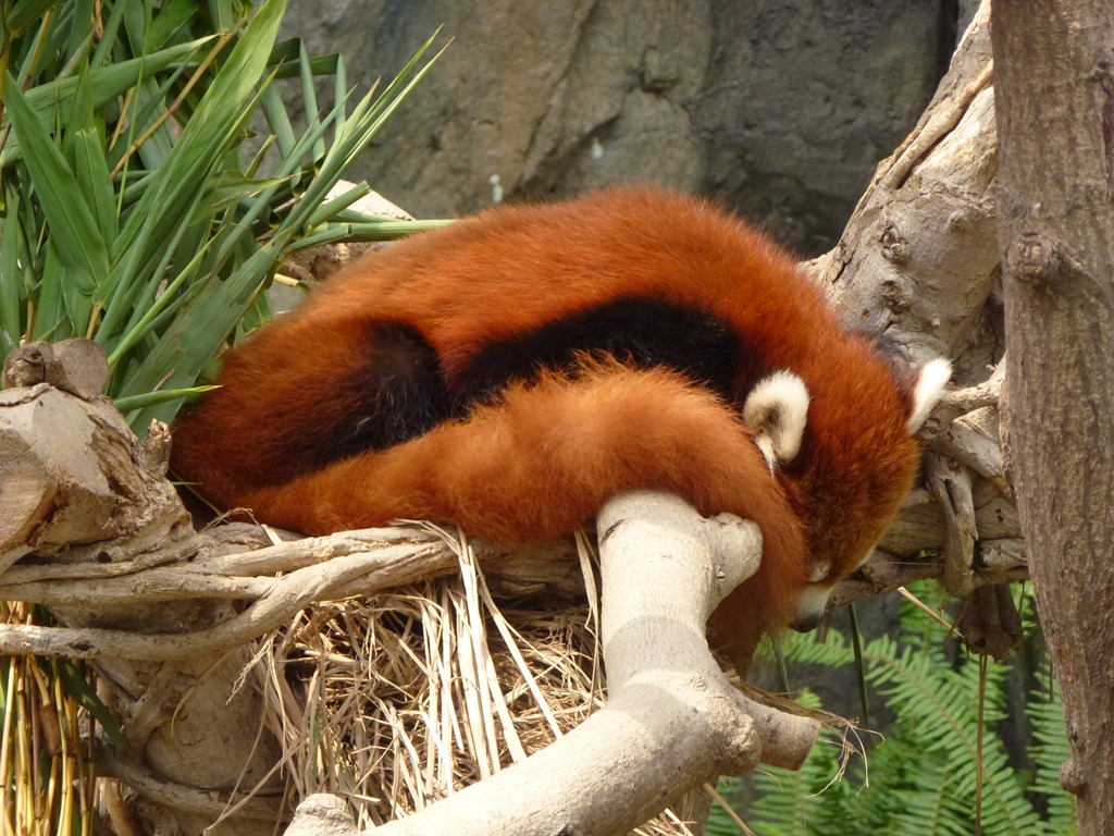 [P10101363.jpg]