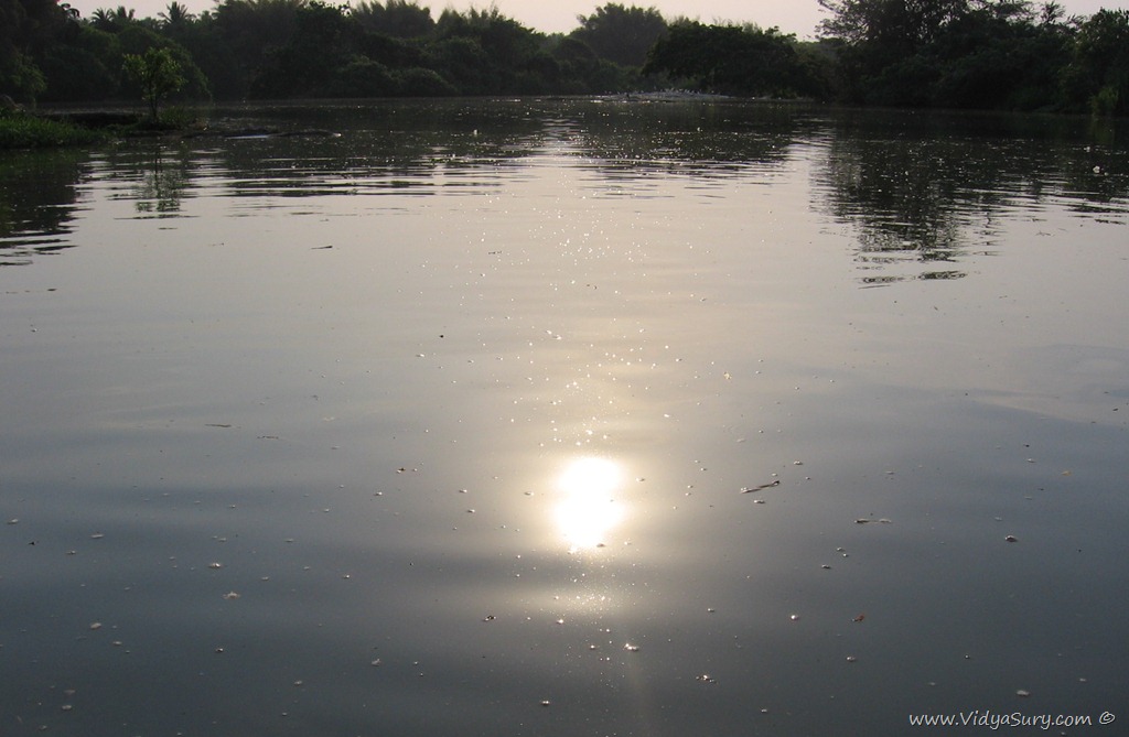 [Vidya%2520Sury%2520%252871%2529%255B13%255D.jpg]