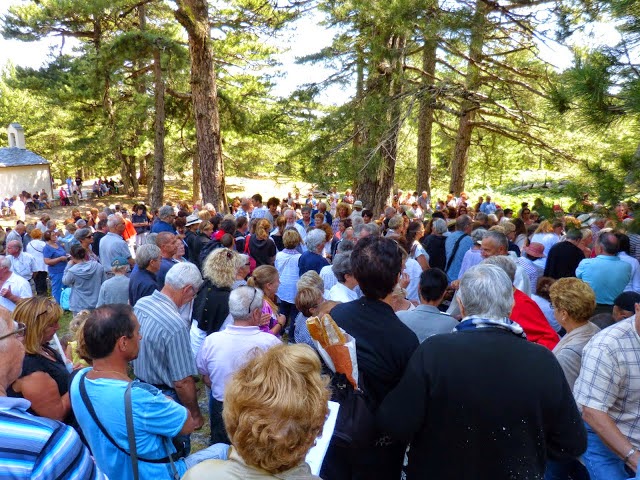 P1000216.JPG