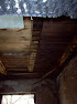 IM000280.resized.JPG