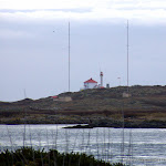 IMG_6126.jpg