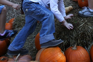 IMG_4853e
