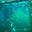 IMG_4194.JPG