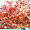 hokkaido_223.jpg