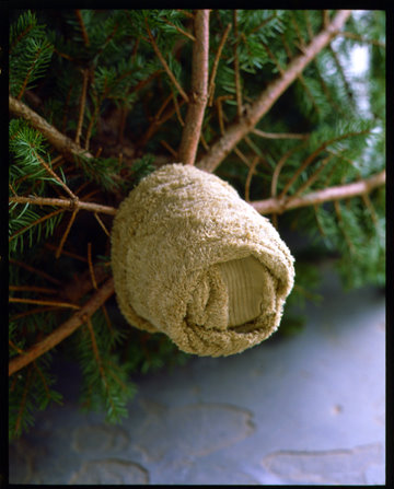 Follow these steps when putting up your tree. If you don’t put up the tree right away, wrap the stump in a damp towel, andleave it in a cool, but not freezing, place.