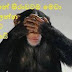 sinhala photo comments facebook 28 facebook photo comments sinhala