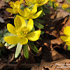dsc07164.jpg