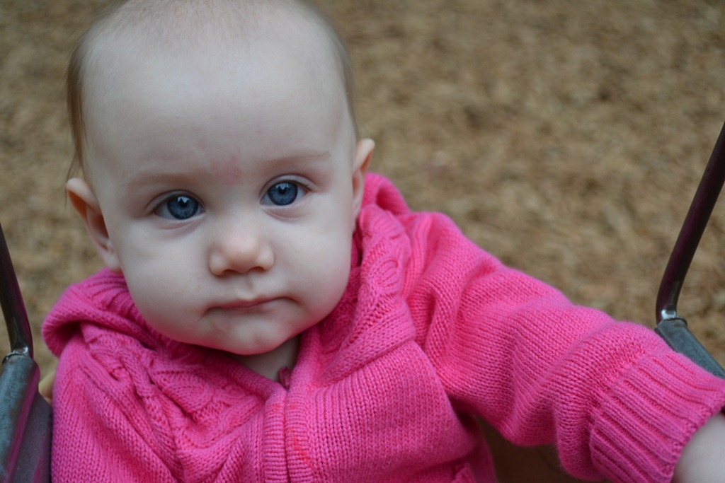 [DSC_0053%255B5%255D.jpg]