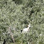 IMG_6583-MOTION.gif