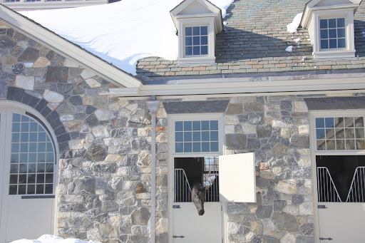 Oh, Sharkey, dear.... Please be careful because snow has been avalanching off of the stable roof.