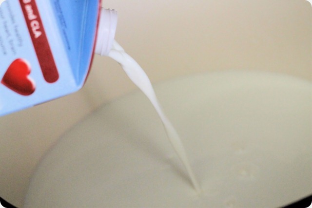 whole_milk_yogurt_recipe