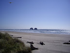 IMGP0473.JPG