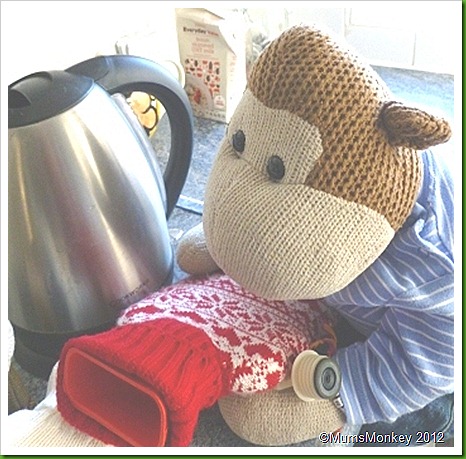 Hot water bottle Hot water bottle