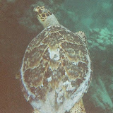 07570011.JPG