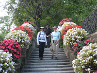 Wonderful gardens