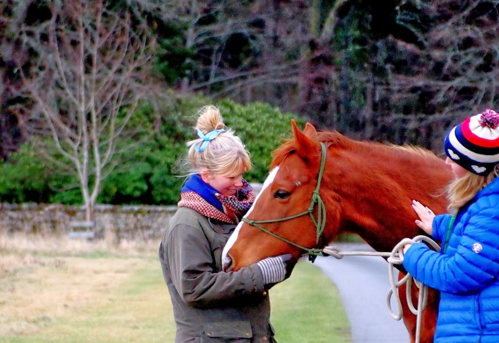 [28%2520Dec%25207%255B3%255D.jpg]