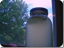 Lemonade in Window