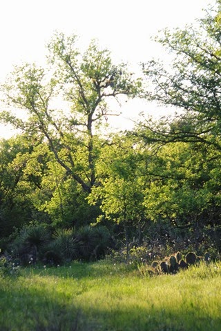 [IMG_4768%255B3%255D.jpg]