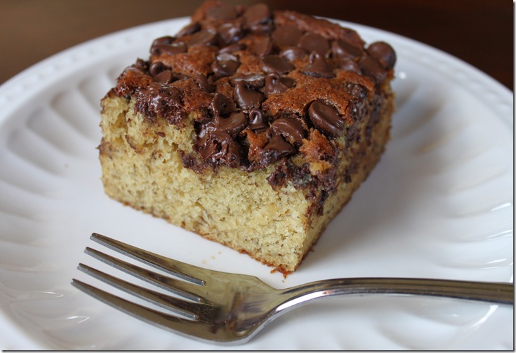 Banna Chocolate Chip Snack Cake 031