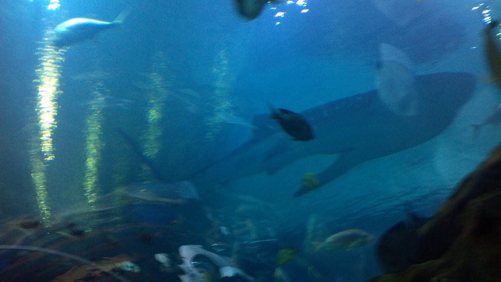 [2012-07-16_12-59-07_389%255B3%255D.jpg]