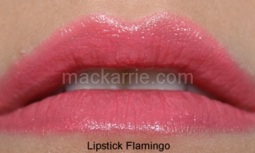 [c_FlamingoLipstickMAC3%255B8%255D.jpg]