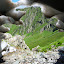 Sculpted snow cave on the side of Mont Rouche August
http://www.skibreezy.com