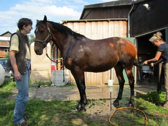 [kerstin-cera18%255B2%255D.jpg]