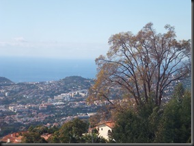 Madeira 053 Madeira 053